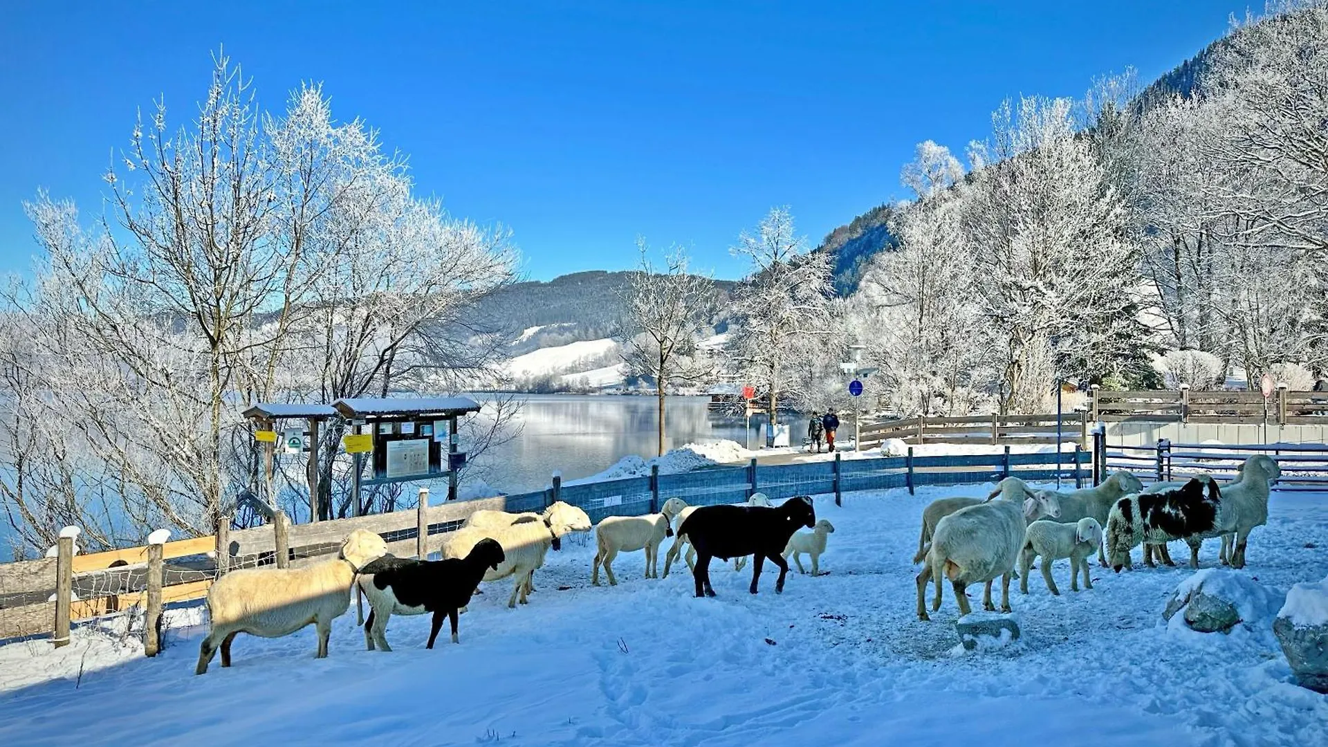 Der Anderlbauer am See Schliersee Bauernhof